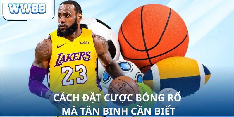 Cách đặt cược bóng rổ mà tân binh cần biết