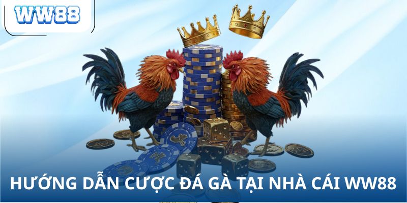 Hướng dẫn cược đá gà tại nhà cái WW88