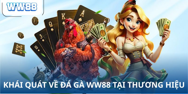 Khái quát về đá gà WW88 tại thương hiệu