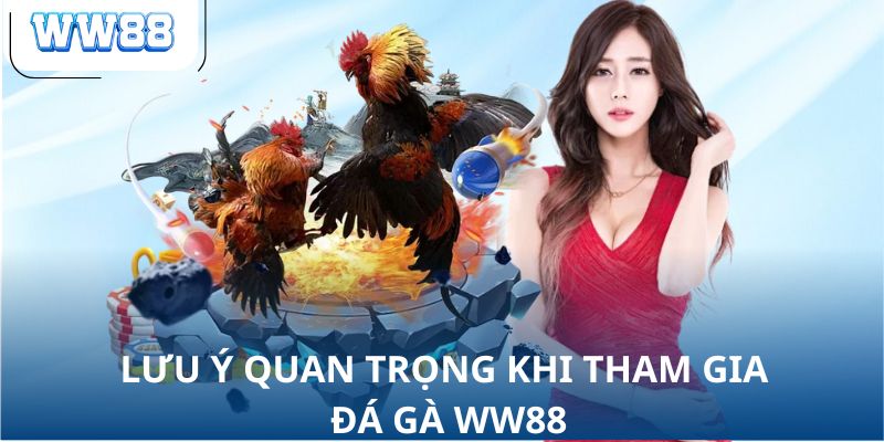 Lưu ý quan trọng khi tham gia đá gà WW88