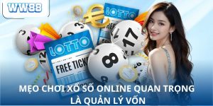 Mèo chơi xổ số online quan trọng là quản lý vốn