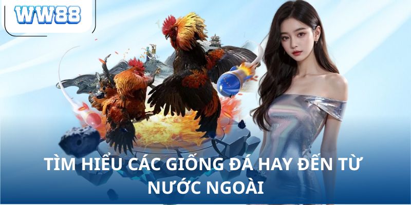 Tìm hiểu các giống đá hay đến từ nước ngoài