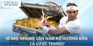Vì sao newbie cần nắm rõ hướng dẫn cá cược tennis?